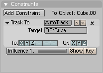 Constraints panel